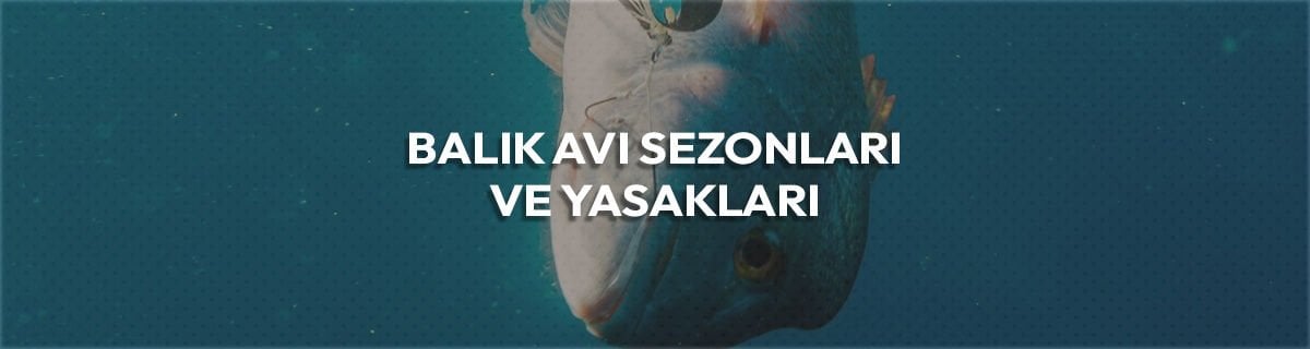 Balık Avı Sezonları ve Yasakları: Denizler ve Tatlı Sular
