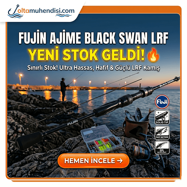 Fujin Ajime Black Swan Stokta!
