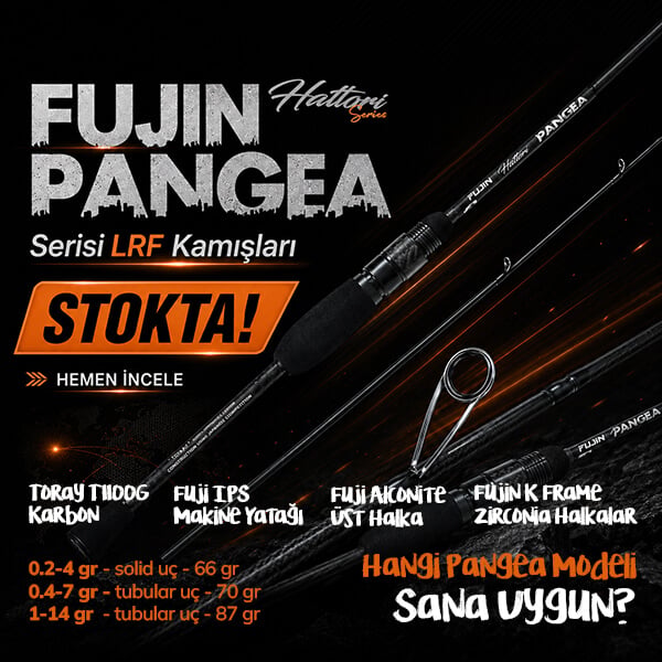Fujin Pangea Kamışlar Stokta!