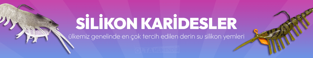 Silikon Karides Çeşitleri