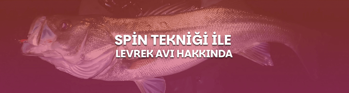 Spin Takım ile Levrek Avcılığı: Dikkat Edilmesi Gereken Hususlar