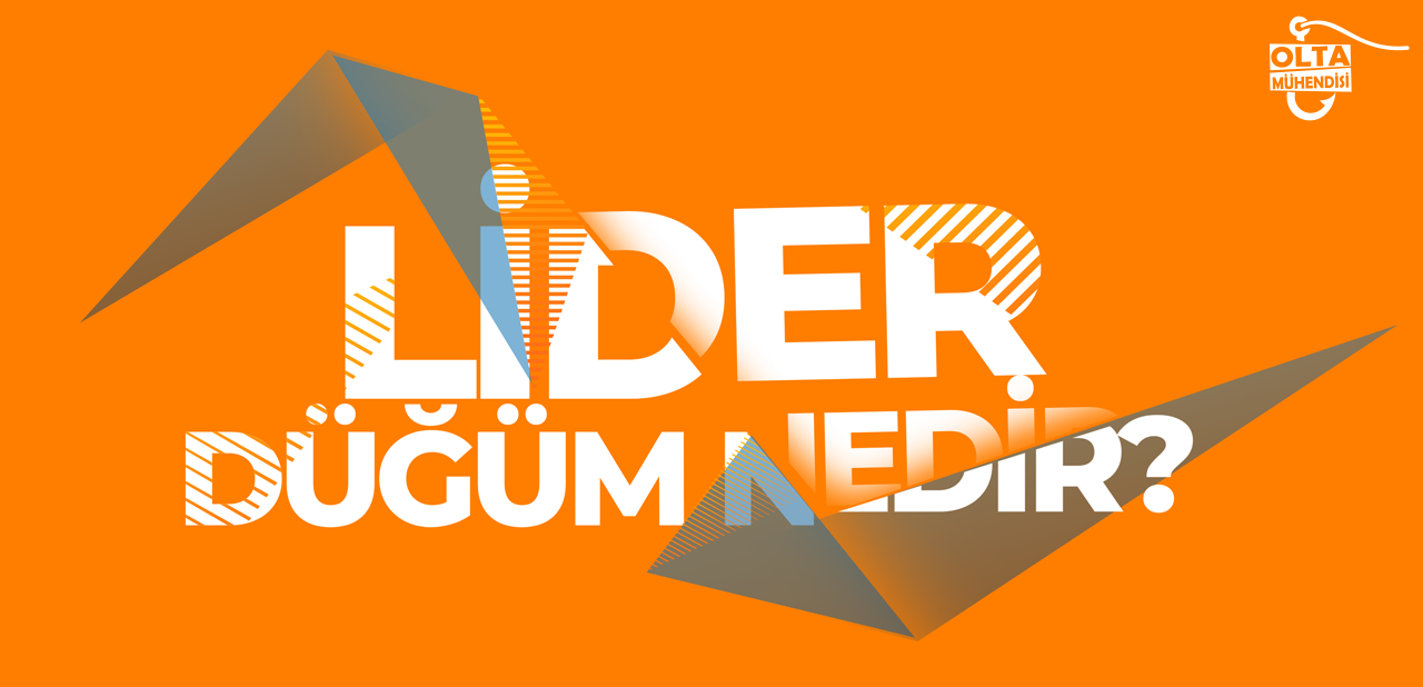Lider Misina Nedir? Ne İşe Yarar? 