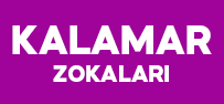 Kalamar Zokaları