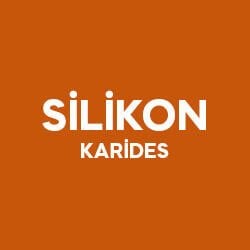 Silikon Karides
