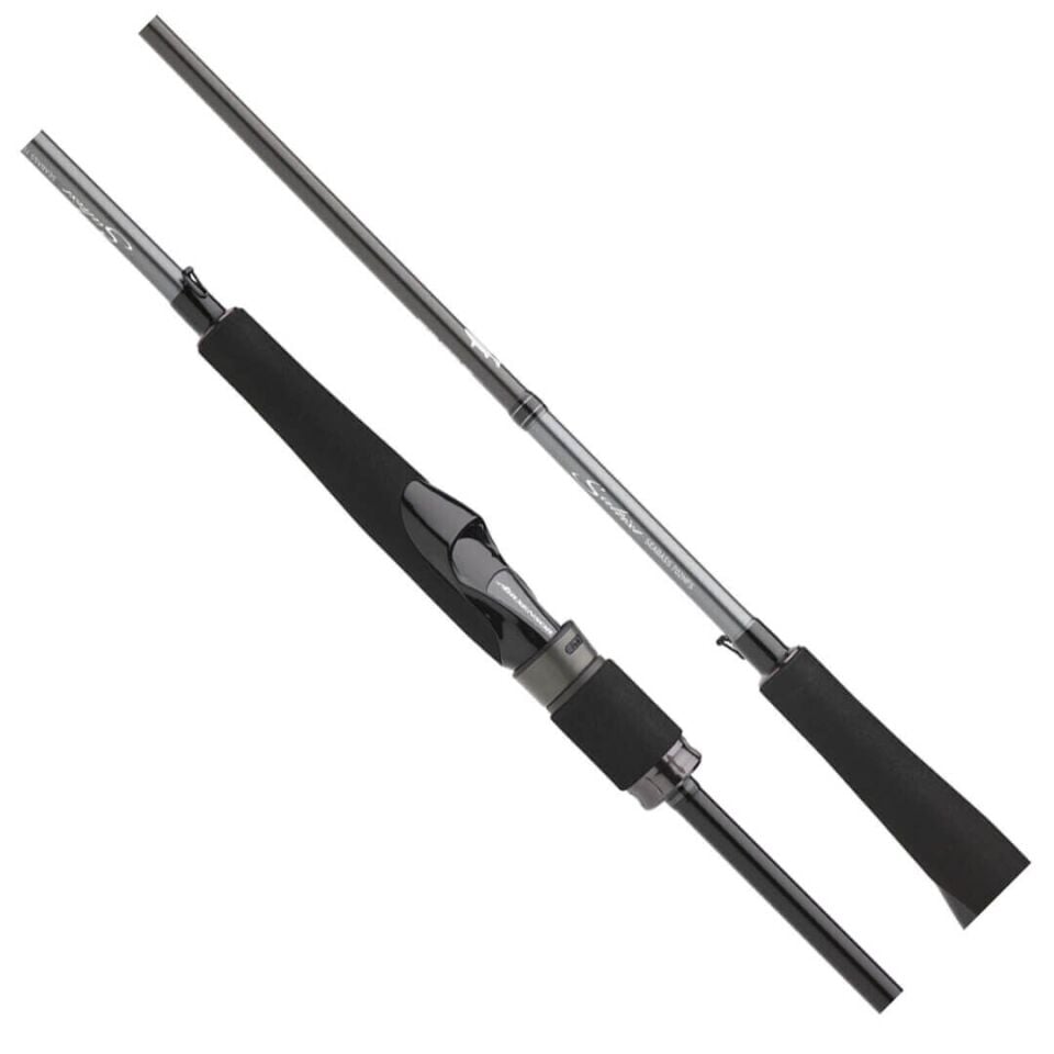 Daiwa Saltist Seabass BF 290 Cm 14-56 Gr Spin Kamışı