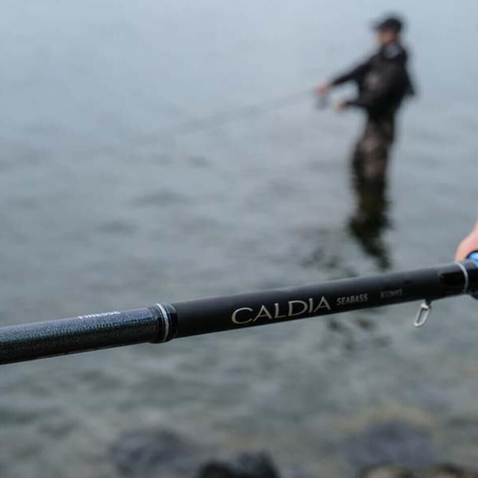 Daiwa Caldia Seabass 240 Cm 7-28 Gr Spin Olta Kamışı