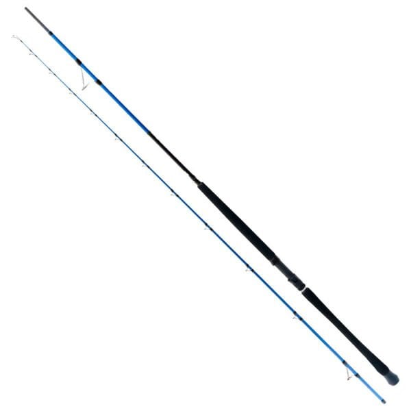 Ryuji Shore Game Fuji 285 cm 25-85 gr Shore Jig Kamışı
