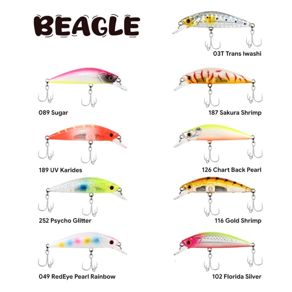 Fujin Beagle 6 Cm 6.5 Gr Maket Yem