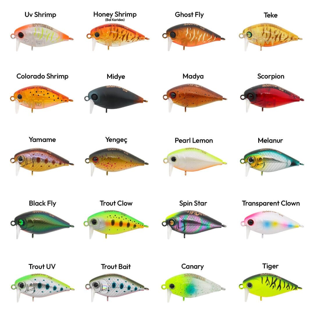 Hanfish Kunduz KG 3.8 Cm 4 Gr Maket Yem Honey Shrimp (Bal Karides)