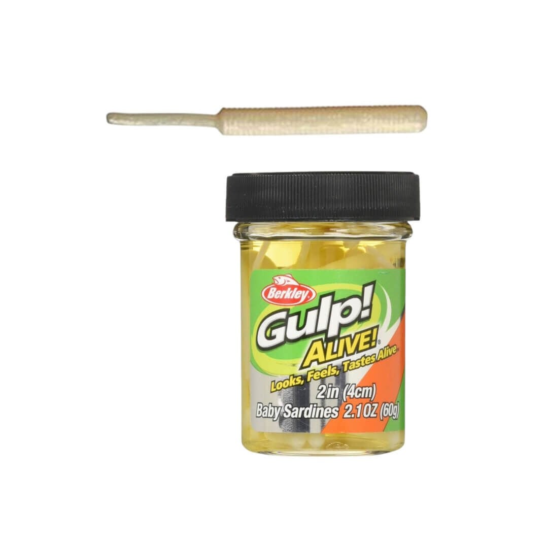 Berkley Gulp Alive Baby Sardine LRF Silikon Yem Glowy