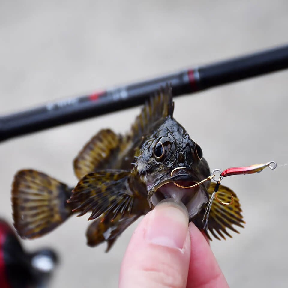 Rudie’s Gyoshi Metal Hirari 2.5 Gr Jig Yem
