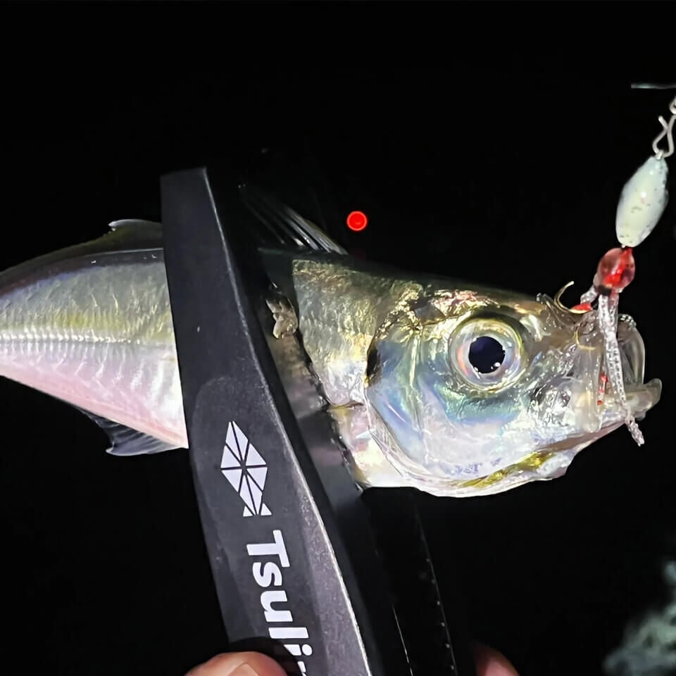 Rudie’s Gyoshi Chiku 7 Gr Jig Yem