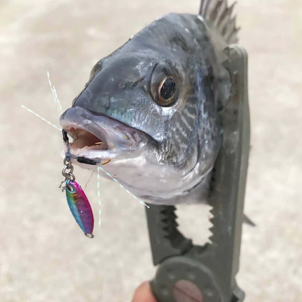 Rudie’s Gyoshi Metal 2 Gr Jig Yem