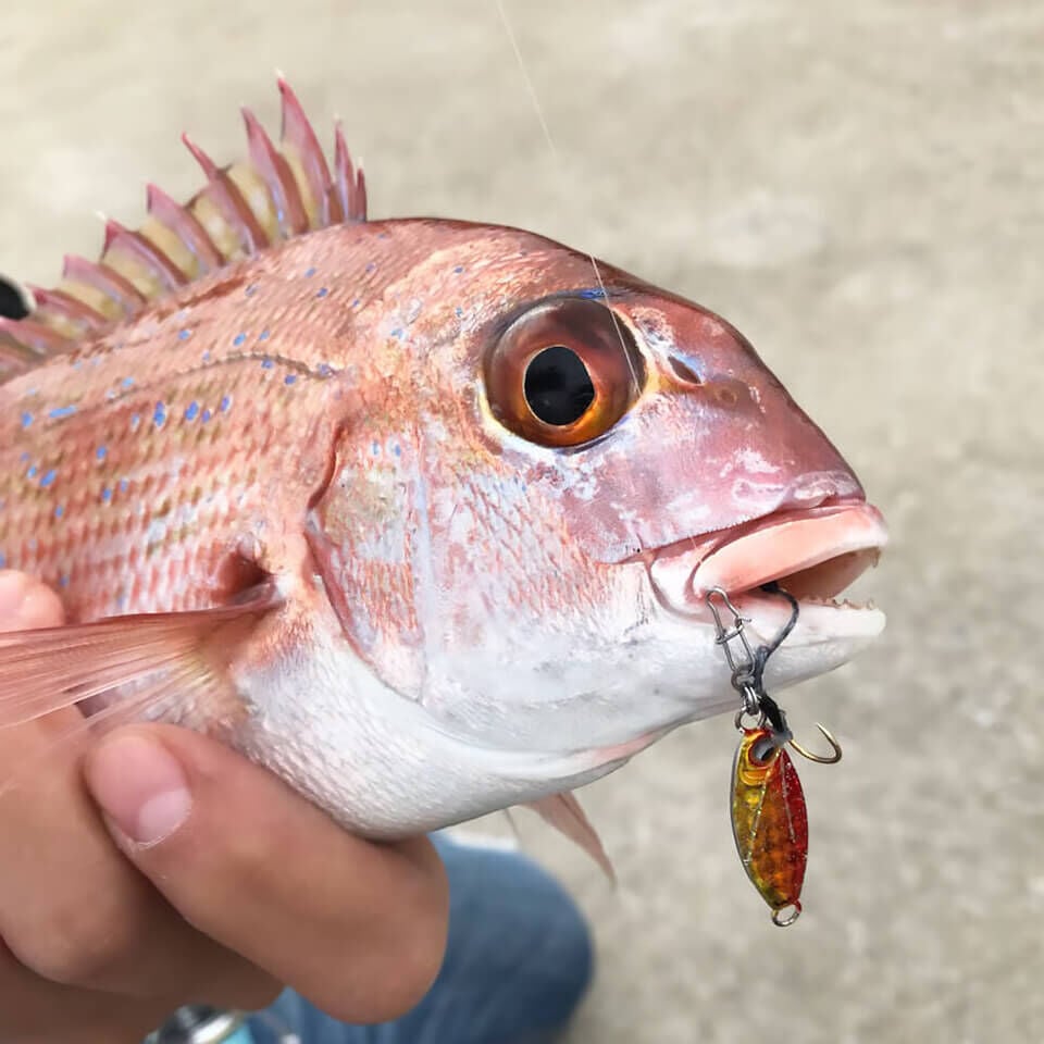 Rudie’s Gyoshi Metal 2 Gr Jig Yem