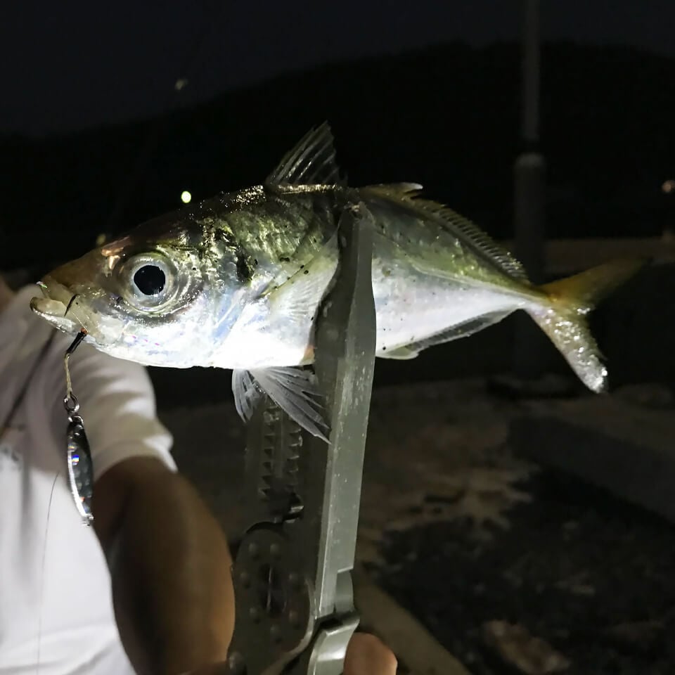 Rudie’s Gyoshi Metal 2 Gr Jig Yem