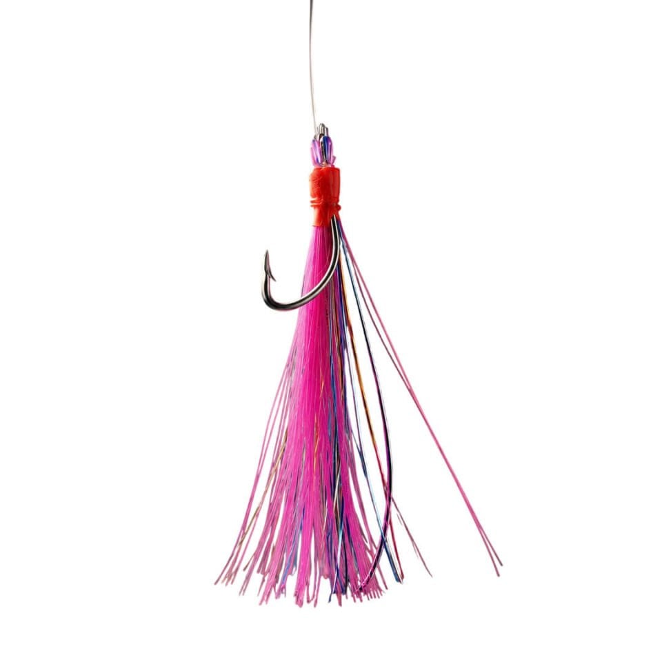 Alesta Colorful Rig Çapari