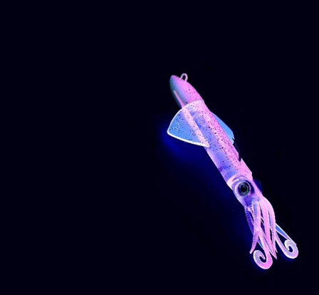 Derin Su Silikon Yemleri